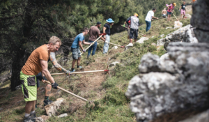 TrailBuildingAkcija