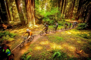 MTB group riding